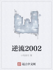 逆流2002 小说