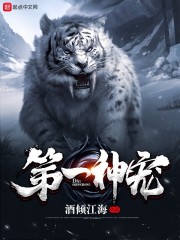 梦幻西游第一神宠