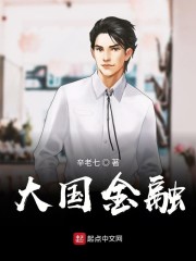 小说大国金融