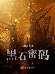 黑石密码txt下载八零