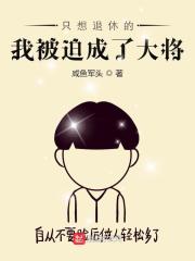 小说只想退休的我被迫成了大将