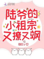 陆爷的小祖宗又撩又飒重生文