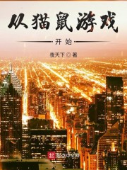 猫鼠游戏游戏规则