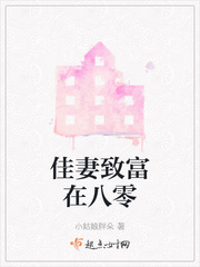 重生八零佳妻致富作者