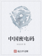中国密电码下载