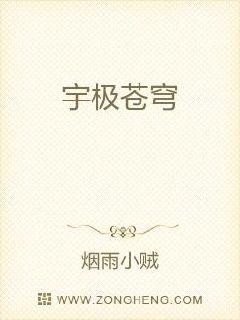 宇极苍穹