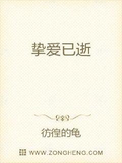 挚爱已逝