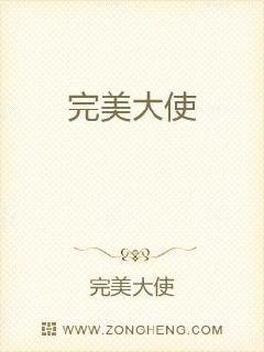 完美大使