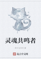灵魂共鸣者