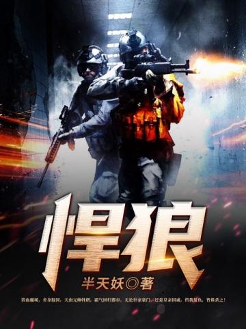 悍狼智能