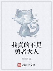 我真的不是勇者大人