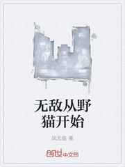 无敌从野猫开始