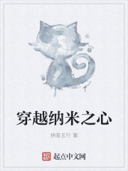 穿越纳米之心