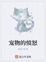 宠物的愤怒