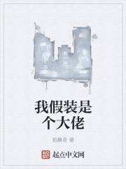我假装是个大佬