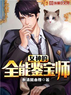 女神的全能鉴宝师txt下载精校版