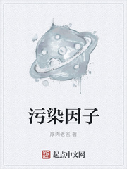 污染因子