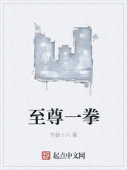 一套至尊多少钱
