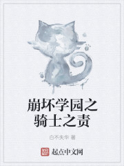 崩坏学园之骑士之责